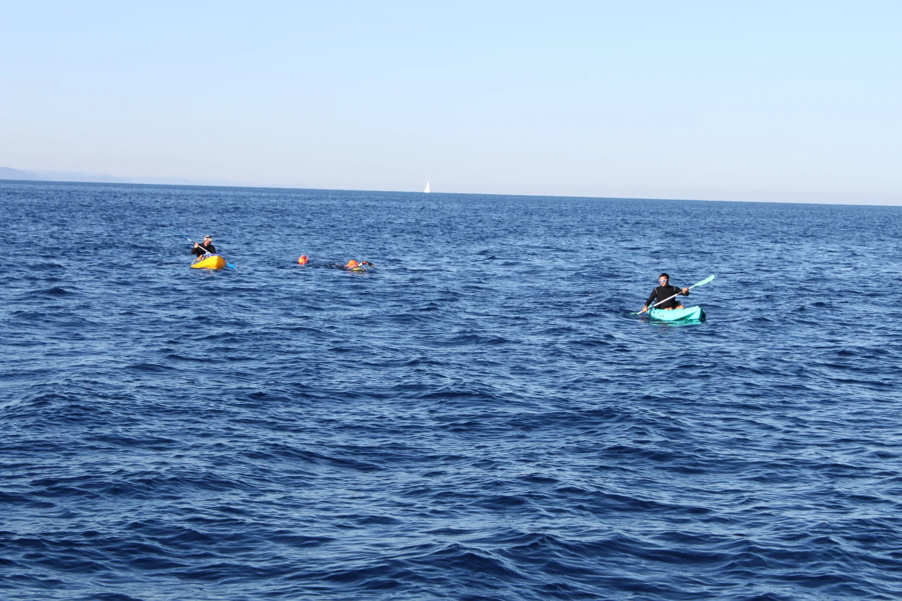 Nageurs en pleine mer